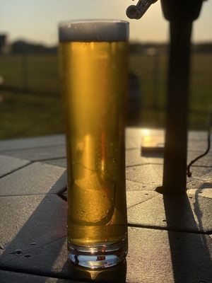 Oozlefinch Beers & Blending by null