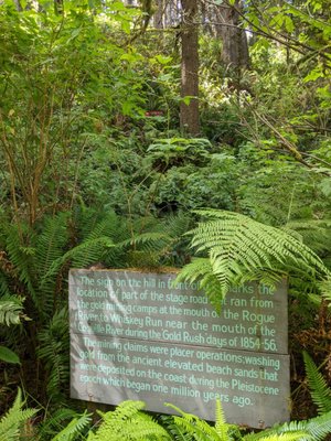 Prehistoric Gardens by null