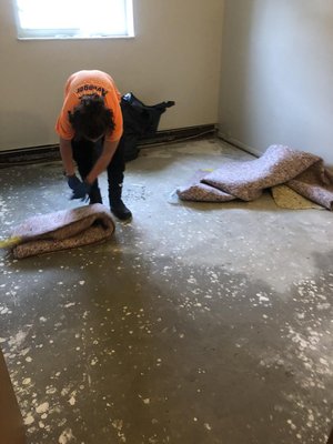 Water Damage Restoration - When your property experiences water damage in any capacity, it's critical to have specially trained technicians conduct a thorough inspection as soon as possible. Undetected and unattended water will continue to wreak havoc - damaging structural foundations, and creating an environment for toxic mold growth. For fast, professional service that you can always count on, contact us today to get a free estimate! Water Damage Restoration - When your property experiences water damage in any capacity, it's critical to have specially trained technicians conduct a thorough inspection as soon as possible. Undetected and unattended water will continue to wreak havoc - damaging structural foundations, and creating an environment for toxic mold growth. For fast, professional service that you can always count on, contact us today to get a free estimate!