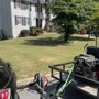 Photo of Speedy Lawn Care