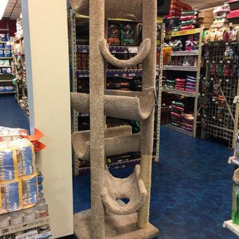 Pet Supermarket - Pet Stores Near Me - North Miami, Florida Pet Supermarket - Pet Stores Near Me - North Miami, Florida