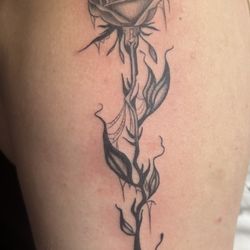 Ink And Paint - My rose