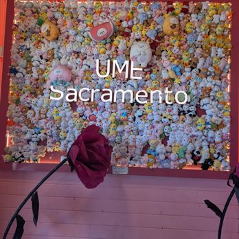 UME Tea - Sacramento - Coffee & Tea Near Me - Sacramento, California