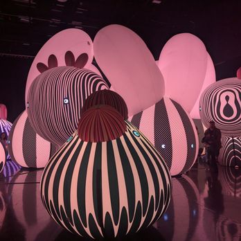Balloon Museum - Art Museums Near Me - Chicago, Illinois