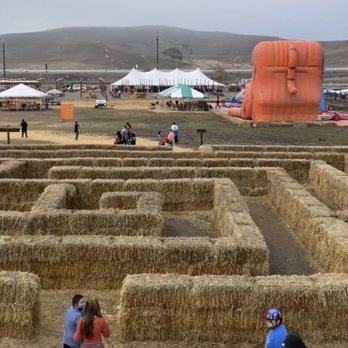 Mickelson Pumpkin Patch - View from the top of the hay pyramid - Pumpkin Patches Near Me - Petaluma, California