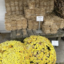 Beacon Farm Market - Cute decorations