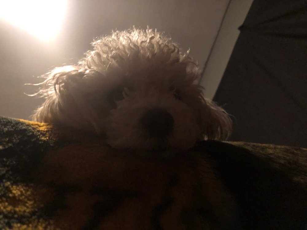 ASTRO AUTO PARTS 15 Reviews 527 E Mill St, SAN BERNARDINO