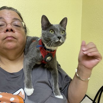 TENDER HEARTS ANIMAL HOSPITAL - Updated January 2025 - 16 Photos 
