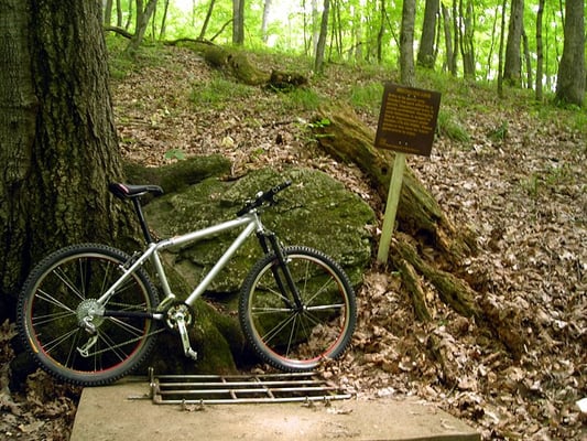 Rock Bridge Memorial State Park by null