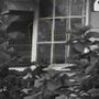Photo of Eastern Vancouver Paranormal Society