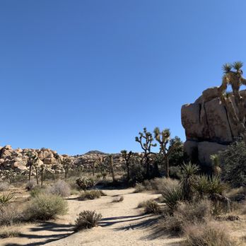 Barker Dam Trail - Hiking Near Me - Joshua Tree, California