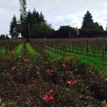 Merry Edwards Winery - Vineyard - Wineries Near Me - Sebastopol, California Merry Edwards Winery - Vineyard - Wineries Near Me - Sebastopol, California