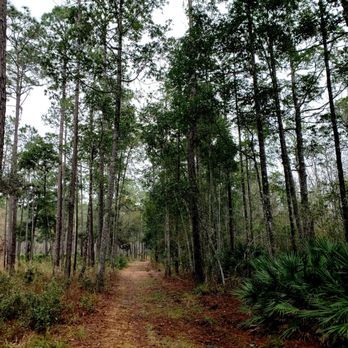 Julington-Durbin Preserve - Hiking Near Me - Jacksonville, Florida Julington-Durbin Preserve - Hiking Near Me - Jacksonville, Florida