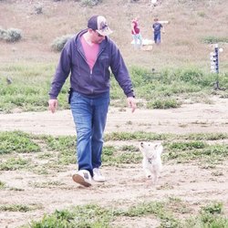 Utah County Dog Training Club