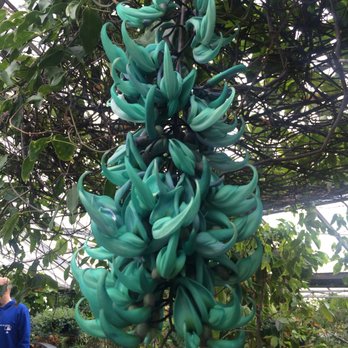 Allan Gardens - Parks Near Me - Toronto, Ontario Allan Gardens - Parks Near Me - Toronto, Ontario