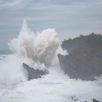 Shore Acres State Park - Storm Wave, probably close to 100 feet high. - Parks Near Me Shore Acres State Park - Storm Wave, probably close to 100 feet high. - Parks Near Me