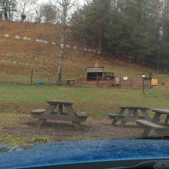 Franny's Farm - Goat being a goat. - Farms Near Me - Leicester, North Carolina Franny's Farm - Goat being a goat. - Farms Near Me - Leicester, North Carolina
