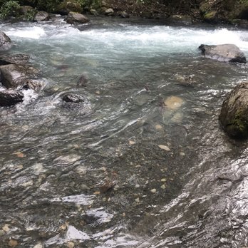 South Fork Falls - Salmon swimming upstream - Hiking Near Me - Anchorage, Alaska