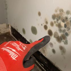 Restoration On Demand