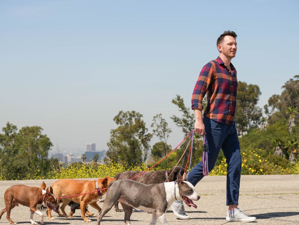 The Healing Pack - pet boarding facility in Los Angeles, CA
