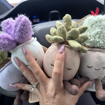 Walgreens - My new obsession right now .. greenhouse Russ plush succulents - Cosmetics & Beauty Supply Near Me - Elk Grove, California Walgreens - My new obsession right now .. greenhouse Russ plush succulents - Cosmetics & Beauty Supply Near Me - Elk Grove, California