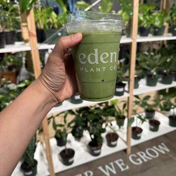 Eden Plant - SO SO SO GOOD - Nurseries & Gardening Near Me - Houston, Texas