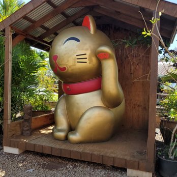 Mari's Gardens - Nurseries & Gardening Near Me - Mililani, Hawaii