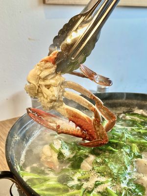 Myeongdong Gyoza Kalguksu - Korean Restaurant (Bloor) by null