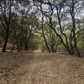 Ramsey Canyon Preserve - Hiking Near Me - Hereford, Arizona
