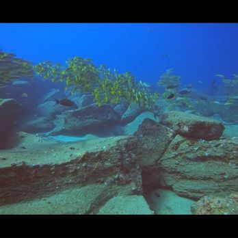 Seasport Divers - Scuba Diving Near Me - Koloa, Hawaii Seasport Divers - Scuba Diving Near Me - Koloa, Hawaii