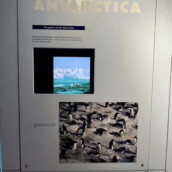 International Antarctic Centre - Antarctica - Museums Near Me - Christchurch, CAN International Antarctic Centre - Antarctica - Museums Near Me - Christchurch, CAN