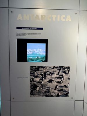 International Antarctic Centre by null