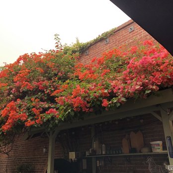 La Note - Outdoor dining area - French Near Me - Berkeley, California La Note - Outdoor dining area - French Near Me - Berkeley, California