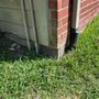 Photo of PR Foundation Repair