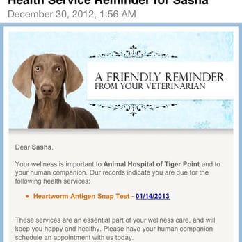 snap animal hospital