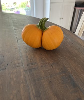 Brosi's Sugartree Farms by null