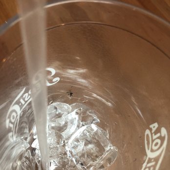 Applebee's Grill + Bar - Bug in cup - American Near Me - Burleson, Texas