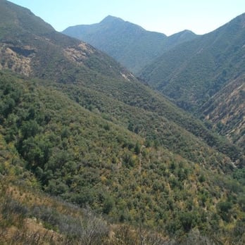Arroyo Seco Campground - Campgrounds Near Me - Greenfield, California Arroyo Seco Campground - Campgrounds Near Me - Greenfield, California