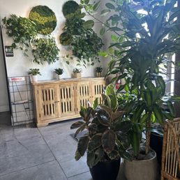 Lovely plants liven up the space