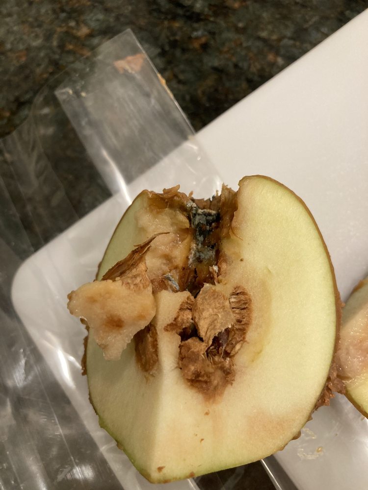 ROCKY MOUNTAIN CHOCOLATE FACTORY Updated July 2024 321 Mt Hope Ave, Rockaway, New Jersey