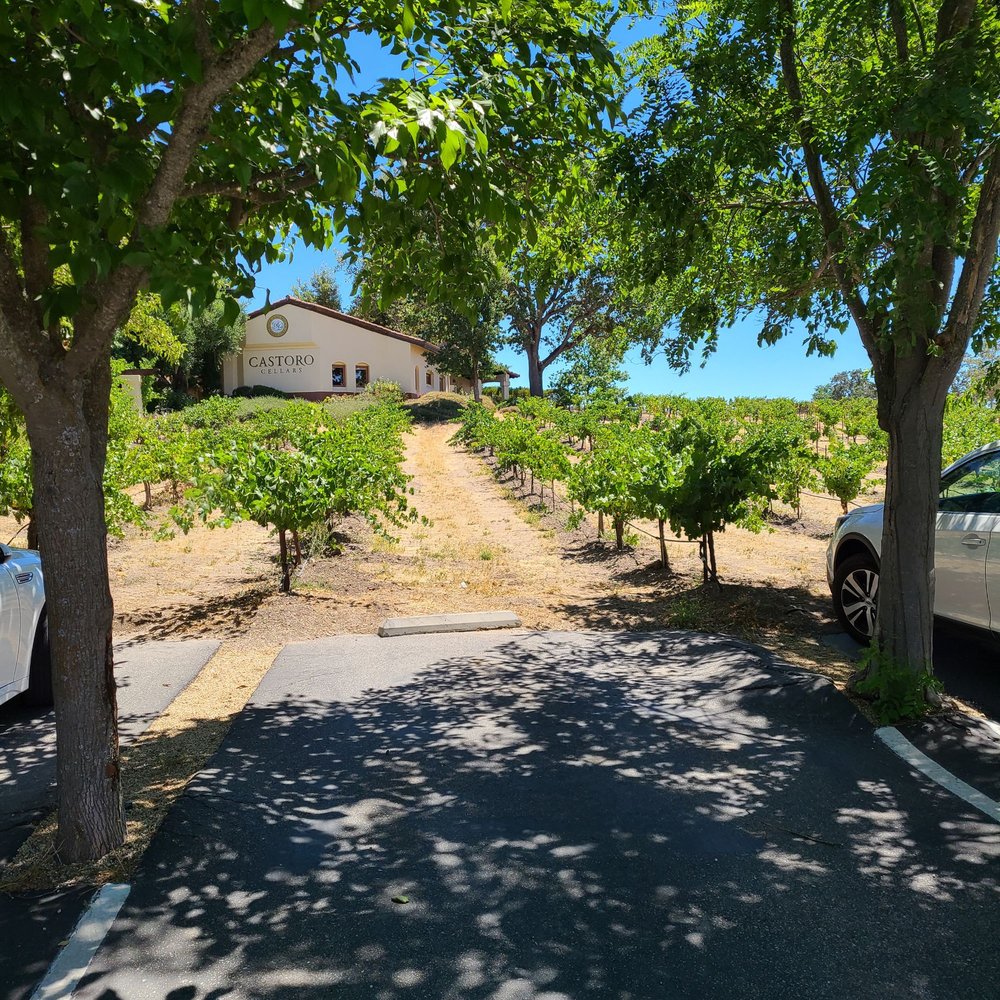 Castoro Cellars - Wineries Near Me - Templeton, California Castoro Cellars - Wineries Near Me - Templeton, California