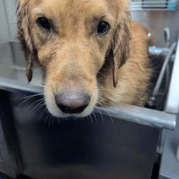 Bath day!