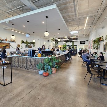 Wayward Coffee Co - Coffee & Tea Near Me - Dallas, Texas Wayward Coffee Co - Coffee & Tea Near Me - Dallas, Texas