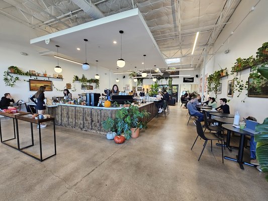 Wayward Coffee Co by null