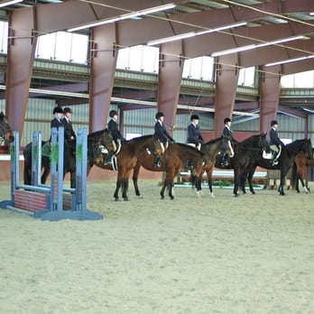 Fox Pointe Farm - Fox Pointe Farm IEA Team Show - Horseback Riding Near Me - Quinton, Virginia