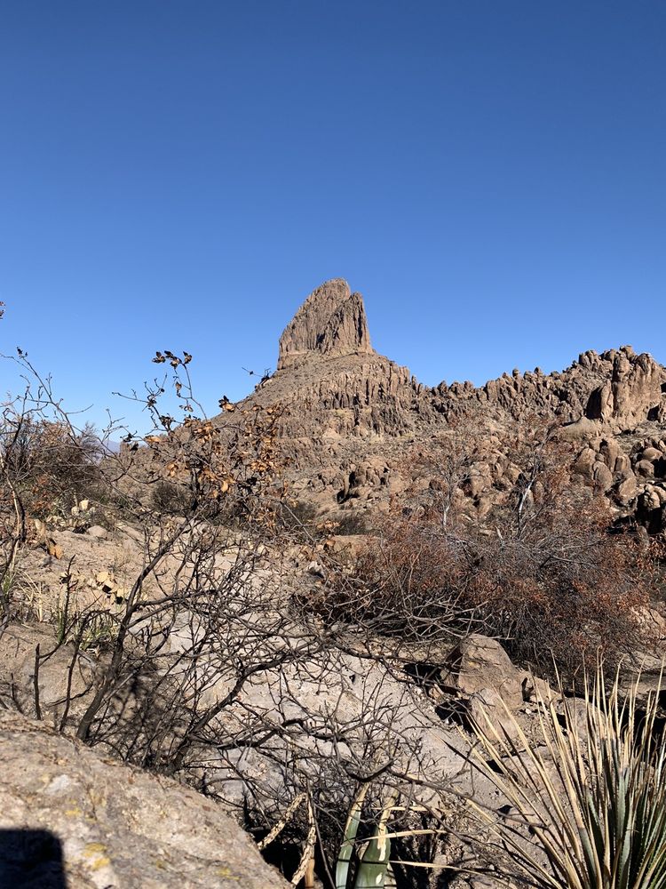 PERALTA TRAILS Updated September 2024 143 Photos & 30 Reviews