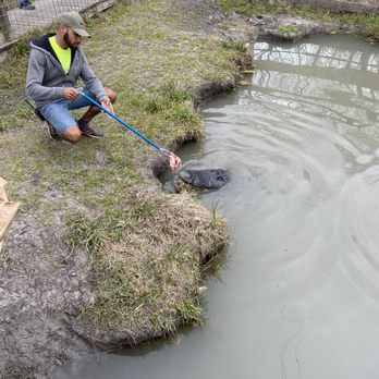 Crocodile Encounter - Zoos Near Me - Angleton, Texas Crocodile Encounter - Zoos Near Me - Angleton, Texas