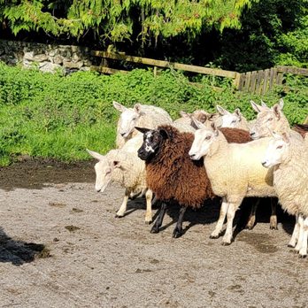 Rathbaun Farm - Farms Near Me - Ardrahan, G
