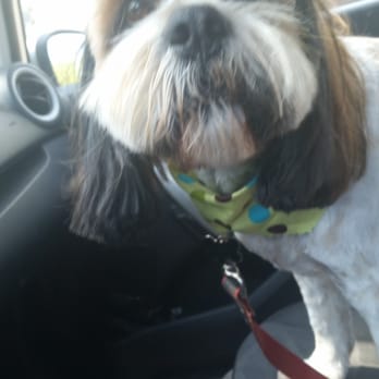 Serenity Pet Spaw - Pet Groomers Near Me - San Diego, California