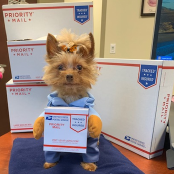 Honeygo Animal Hospital Veterinarians 11541 Philadelphia Rd White Marsh Md Phone Number